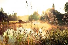 Tartu Ashtanga Jooga suvelaager 2017